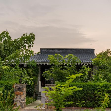 Jawai Greens Jawai Bandh Exteriér fotografie
