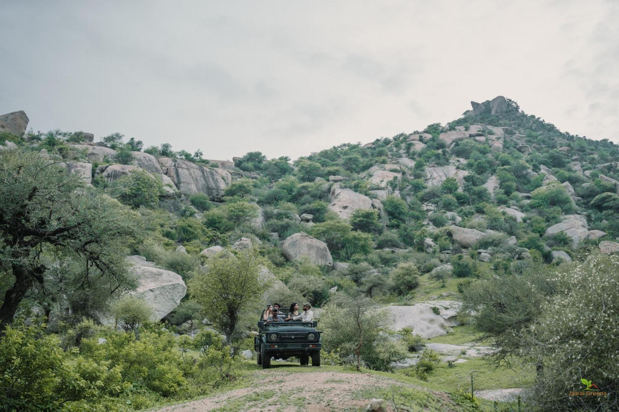 Jawai Greens Jawai Bandh Exteriér fotografie