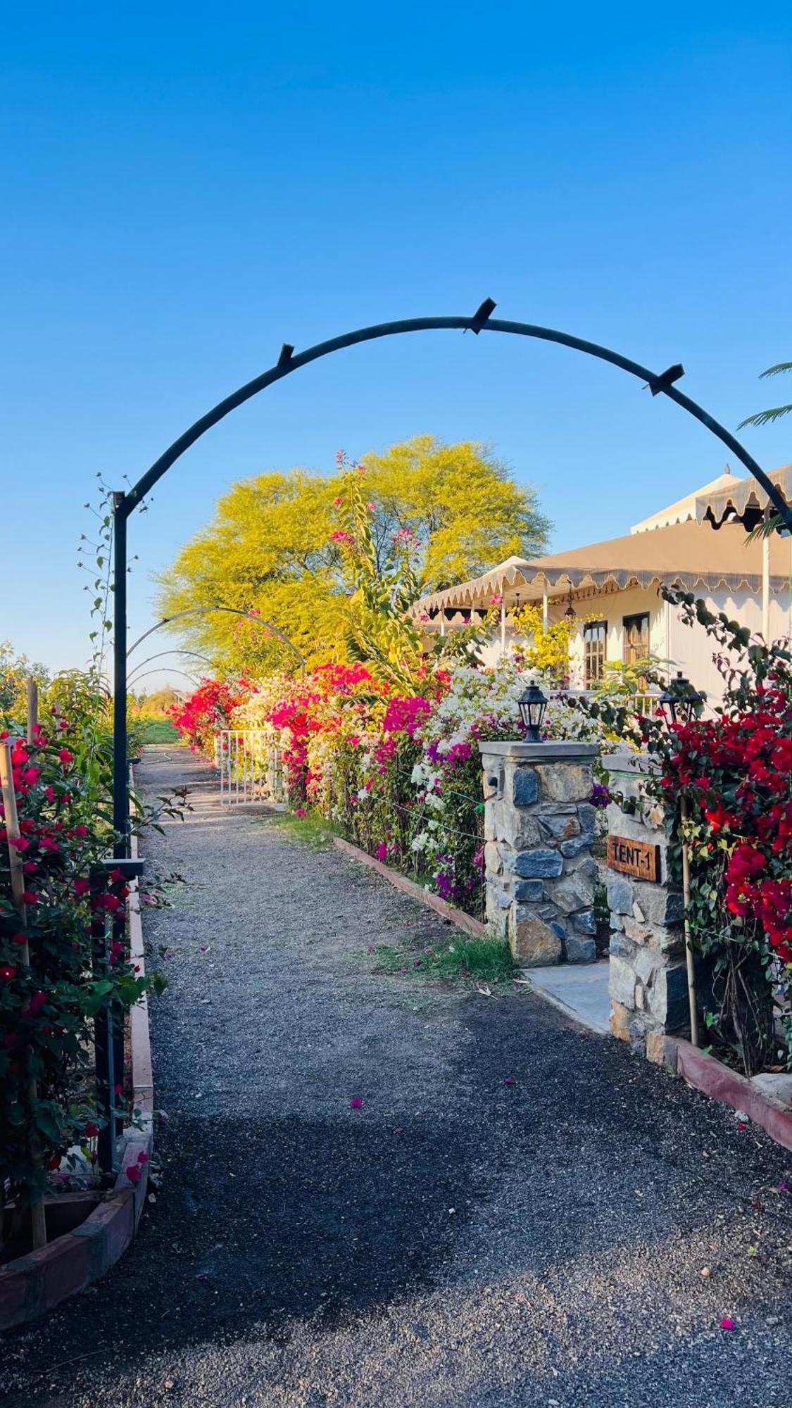 Jawai Greens Jawai Bandh Exteriér fotografie