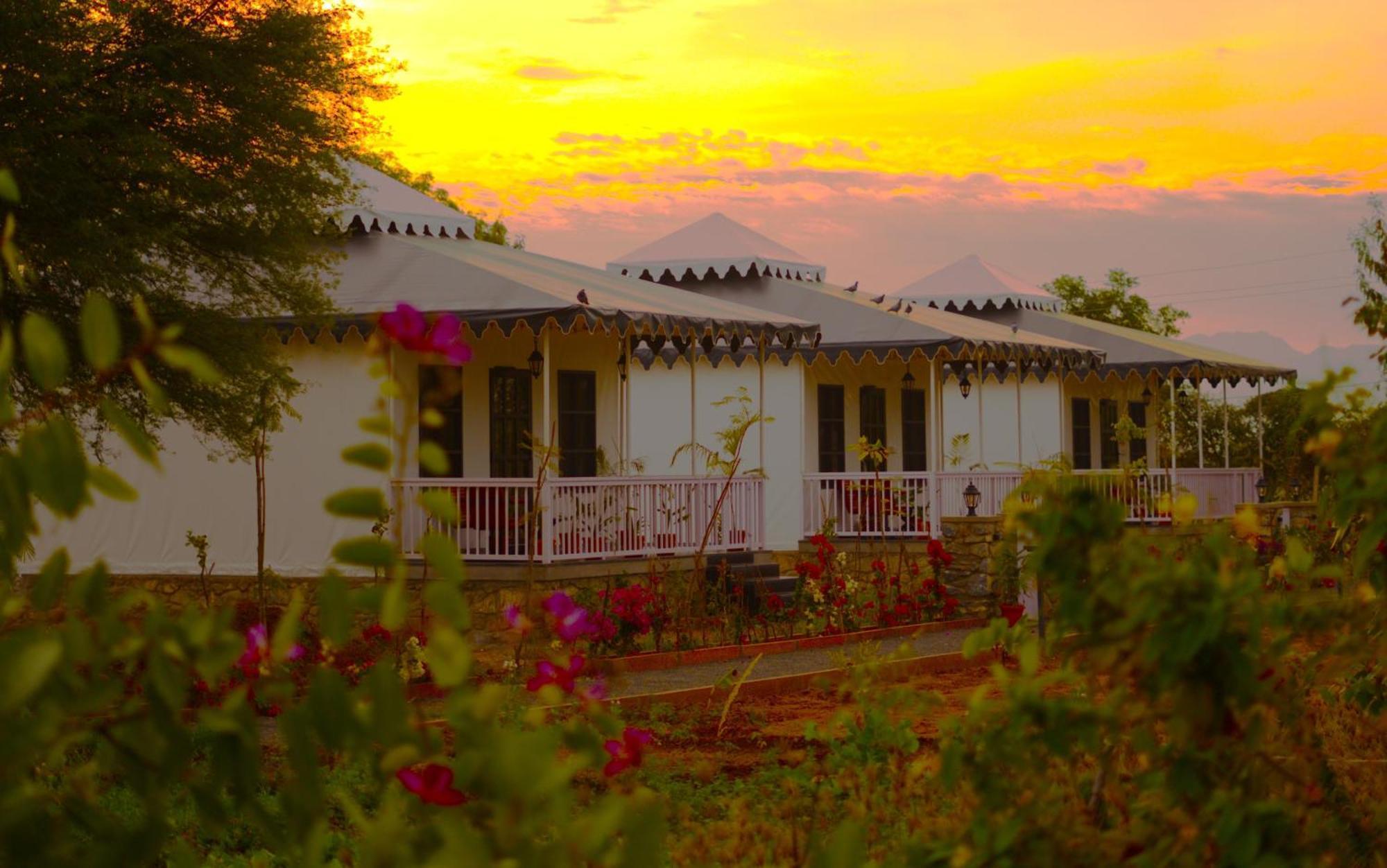 Jawai Greens Jawai Bandh Exteriér fotografie